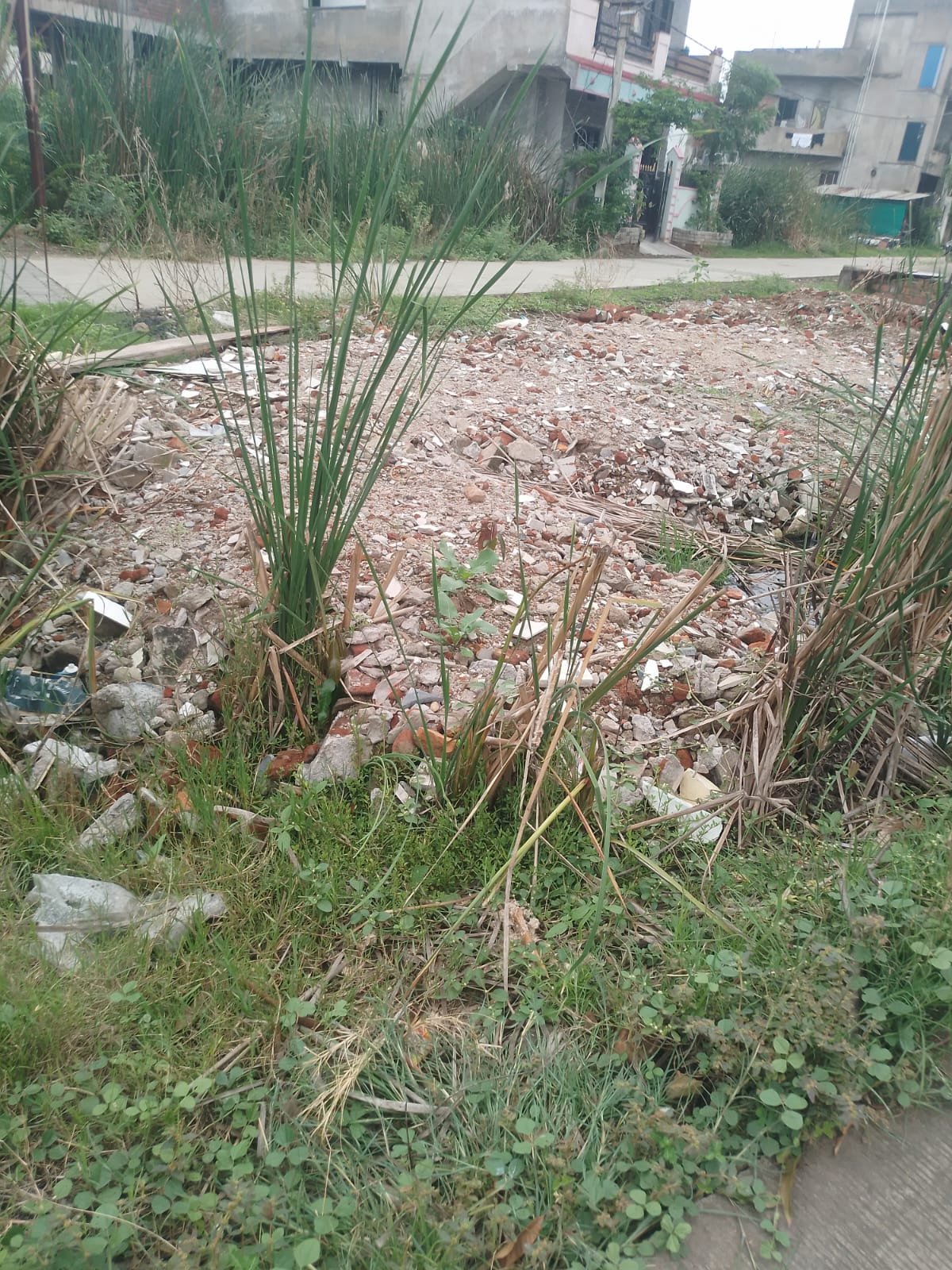 Vacant plot